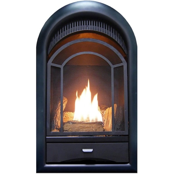 Procom Heating Dual Fuel Ventless Gas Fireplace Insert, Arched Door, 10,000 BTU, T-Stat Control - PCS100T