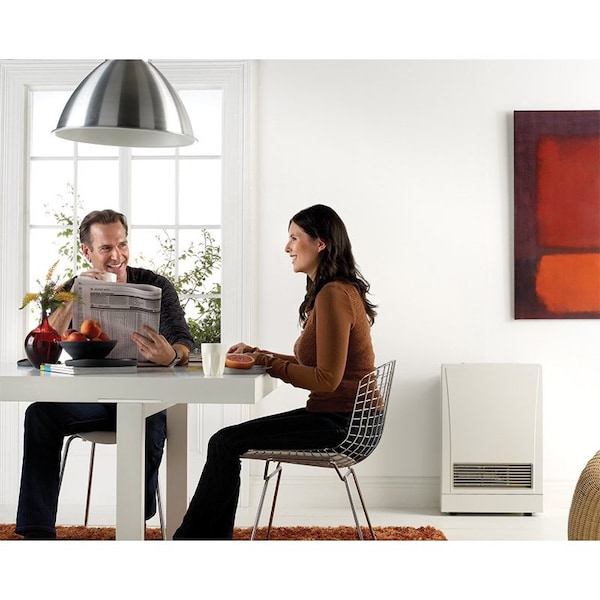 Rinnai Direct Vent Wall Furnace, Propane Gas Indoor Space Heater Wall Furnace, 16,700 BTU, Beige - EX17DTP