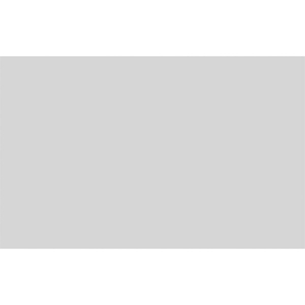 Ekena Millwork Cornell Flat Panel Decorative Wall Panel, 38"W x 24"H x 5/8"P - WALP38X24X062CNL