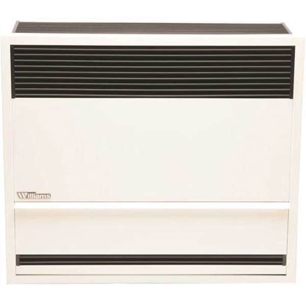 Williams 30,000 BTUH 66% AFUE Direct-Vent Propane Gas Gravity Wall Heater - 3003821