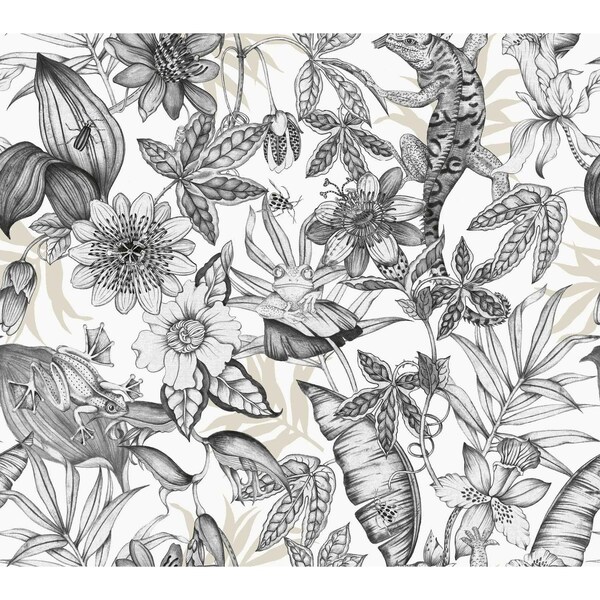 York Wallcoverings Rainforest White and Charcoal Wallpaper - BL1703