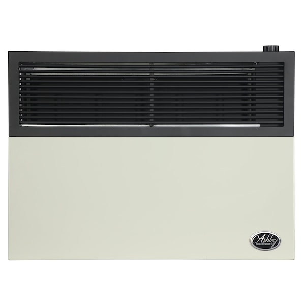 Ashley Hearth Products 17,000 BTU Direct Vent Natural Gas Wall Heater - DVAG17N