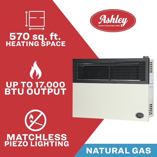 Ashley Hearth Products 17,000 BTU Direct Vent Natural Gas Wall Heater - DVAG17N