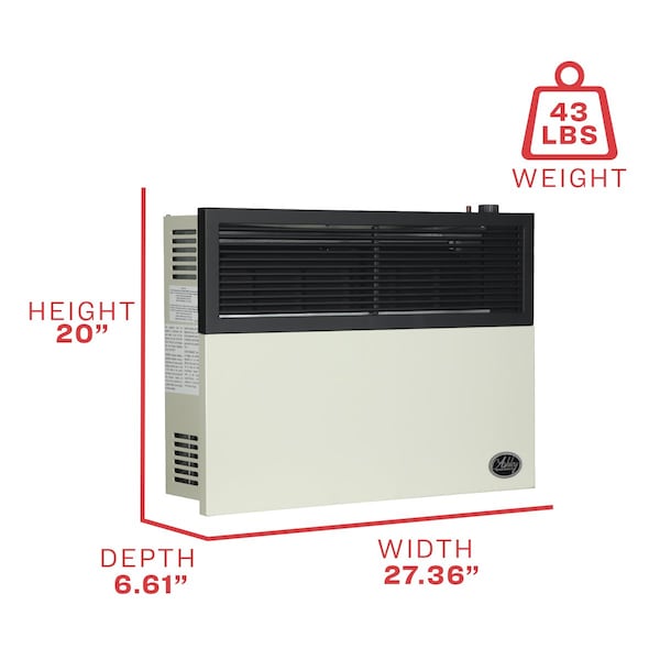 Ashley Hearth Products 17,000 BTU Direct Vent Natural Gas Wall Heater - DVAG17N