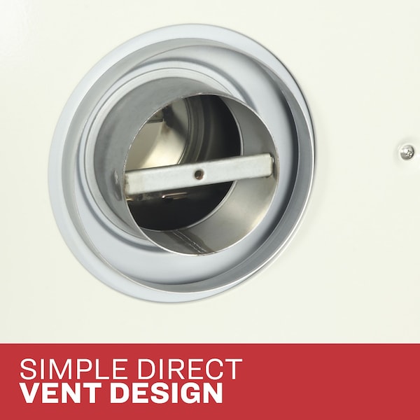 Ashley Hearth Products 25,000 BTU Direct Vent Natural Gas Wall Heater - DVAG30N
