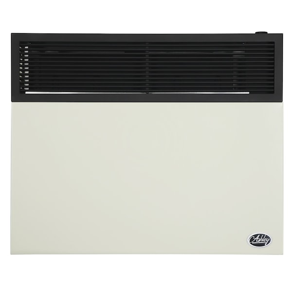 Ashley Hearth Products 25,000 BTU Direct Vent Natural Gas Wall Heater - DVAG30N