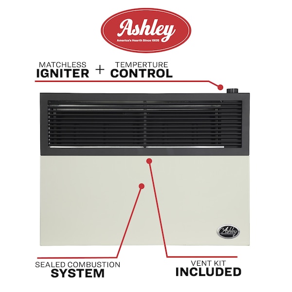 Ashley Hearth Products 25,000 BTU Direct Vent Natural Gas Wall Heater - DVAG30N