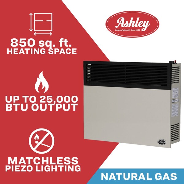 Ashley Hearth Products 25,000 BTU Direct Vent Natural Gas Wall Heater - DVAG30N