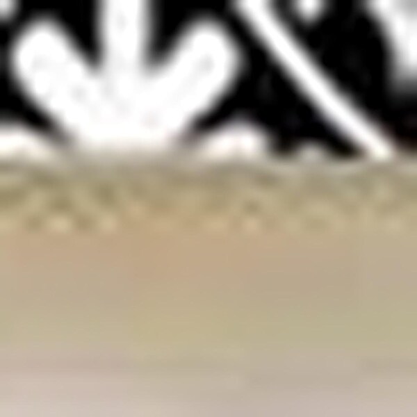 Homeroots 6 x 6 in. Black & White Floral Peel & Stick Removable Tiles - 399877