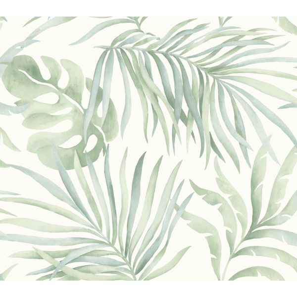 York Wallcoverings Paradise Palm Light Green Wallpaper - SO2452