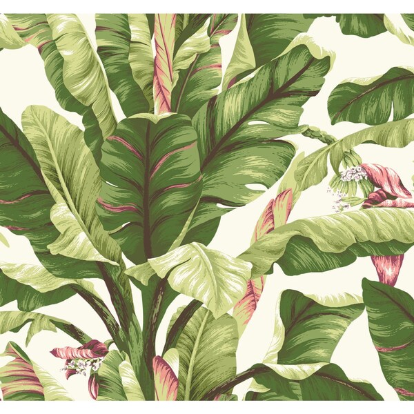 York Wallcoverings Banana Leaf Dark Brown and Pink Wallpaper - AT7067