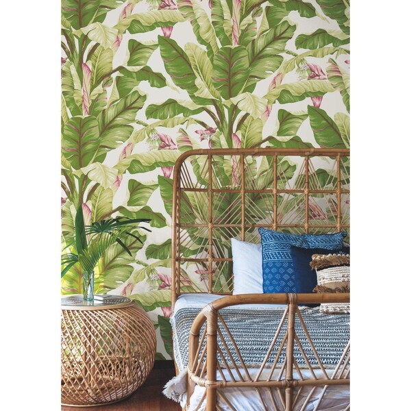 York Wallcoverings Banana Leaf Dark Brown and Pink Wallpaper - AT7067