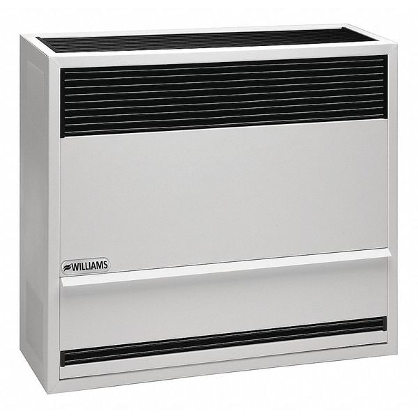 Williams Comfort Products Surface-Mount Gas Wall Heater, Natural Gas, Direct Vent Vent Type, Gravity Convection - 2203822