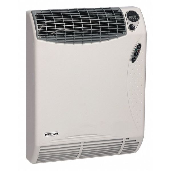 Williams Comfort Products Surface-Mount Gas Wall Heater, Propane, Direct Vent Vent Type, Fan Forced Convection - 1773511