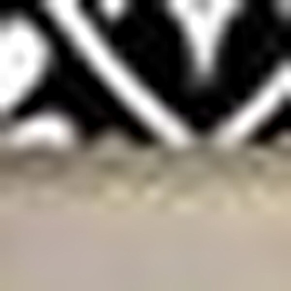 Homeroots 5 x 5 in. Black & White Floral Peel & Stick Removable Tiles - 399876