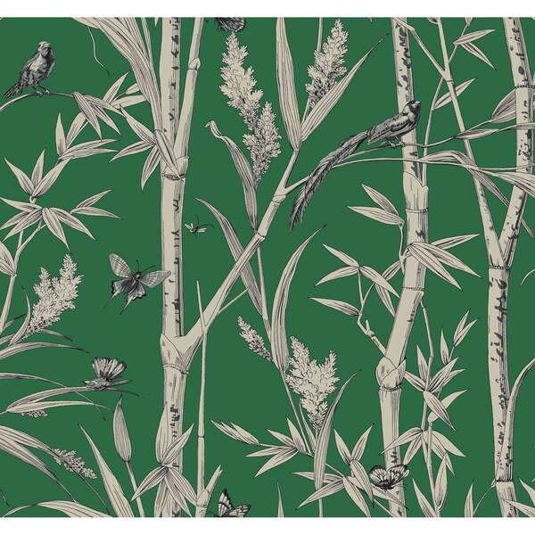 York Wallcoverings Bambou Toile Green Wallpaper - RT7831
