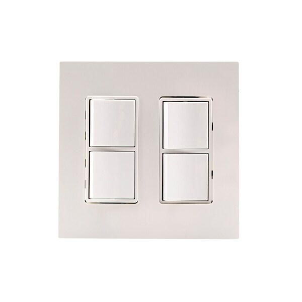 Eurofase Dual Duplex Switch SS Wall Plate And Gang Box - EFDWPS