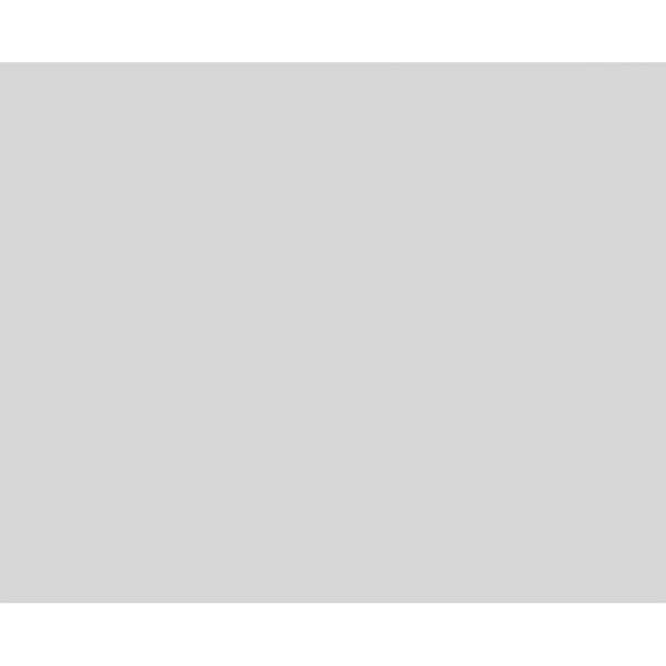 Ekena Millwork Harrison Raised Panel Decorative Wall Panel, 32"W x 26"H x 5/8"P - WALP32X26X062HAR