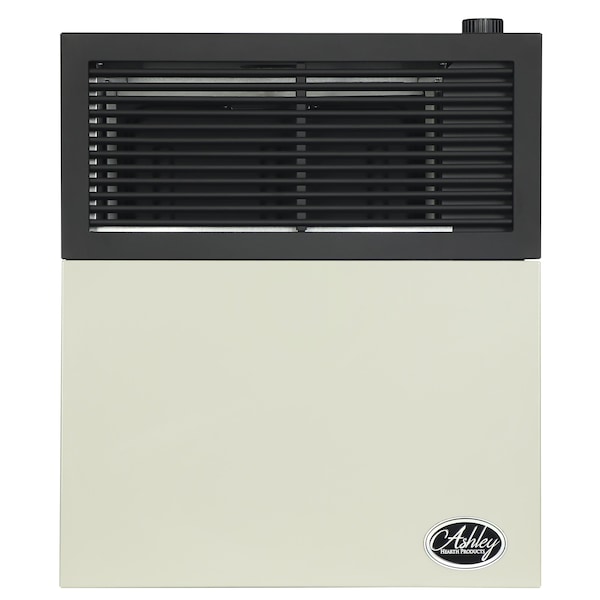 Ashley Hearth Products 11,000 BTU Direct Vent Propane Wall Heater - DVAG11L