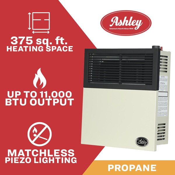 Ashley Hearth Products 11,000 BTU Direct Vent Propane Wall Heater - DVAG11L