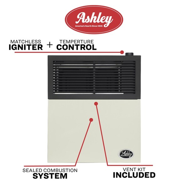 Ashley Hearth Products 11,000 BTU Direct Vent Natural Gas Wall Heater - DVAG11N