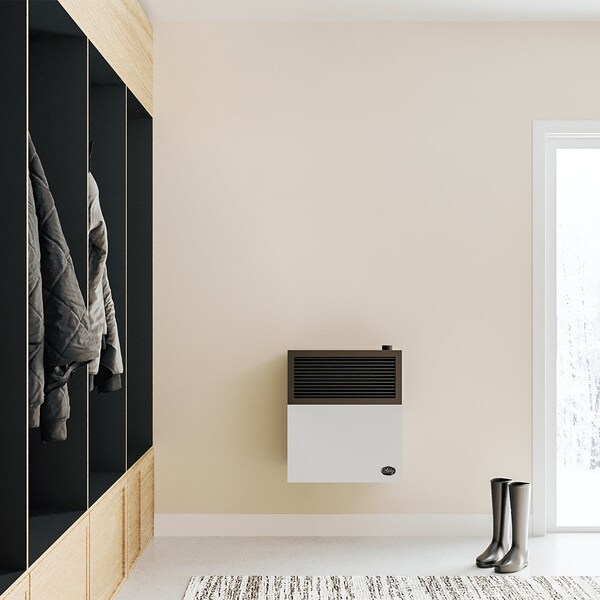 Ashley Hearth Products 11,000 BTU Direct Vent Natural Gas Wall Heater - DVAG11N