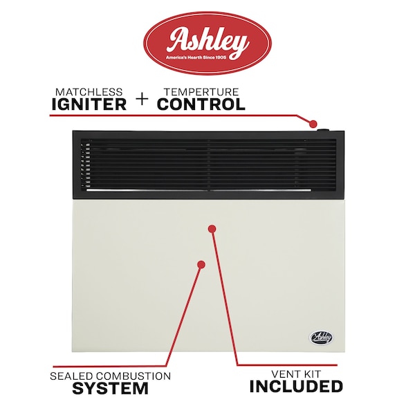 Ashley Hearth Products 17,000 BTU Direct Vent Propane Wall Heater - DVAG17L