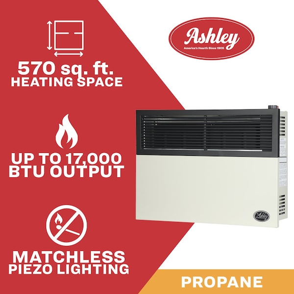 Ashley Hearth Products 17,000 BTU Direct Vent Propane Wall Heater - DVAG17L