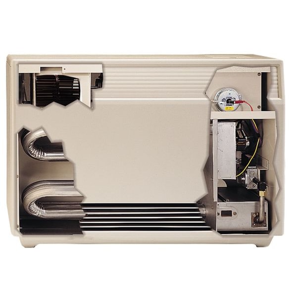 Empire Comfort Systems Gas Freestanding Floor Heater, Propane, Direct Vent Vent Type, Fan Forced Convection - DV20ELP