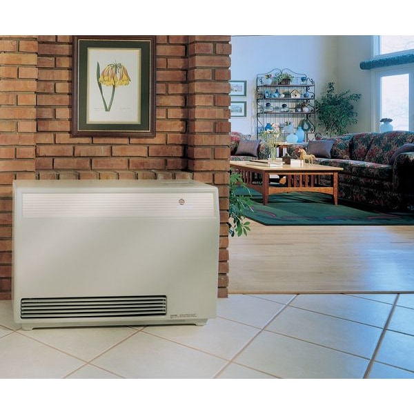 Empire Comfort Systems Gas Freestanding Floor Heater, Propane, Direct Vent Vent Type, Fan Forced Convection - DV20ELP