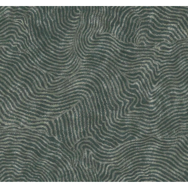 York Wallcoverings Modern Wood Forest Wallpaper - OI0711