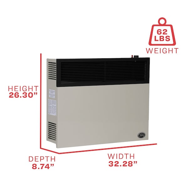 Ashley Hearth Products 25,000 BTU Direct Vent Propane Wall Heater - DVAG30L