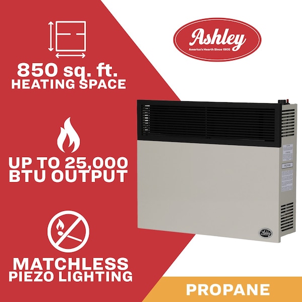 Ashley Hearth Products 25,000 BTU Direct Vent Propane Wall Heater - DVAG30L