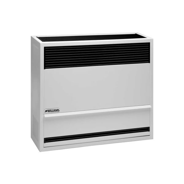 Williams Furnace Co. Williams Direct-Vent Gravity Furnace 3003822 Natural Gas 30000 BTU - 3003822