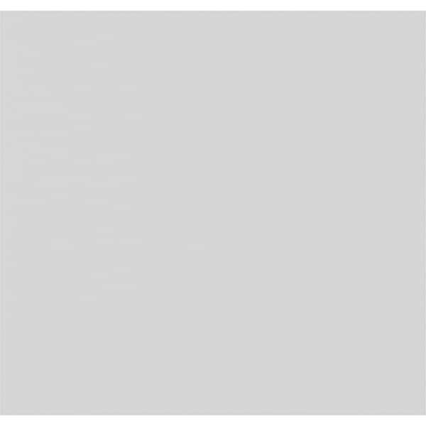Ekena Millwork Harrison Raised Panel Decorative Wall Panel, 40"W x 38"H x 5/8"P - WALP40X38X062HAR