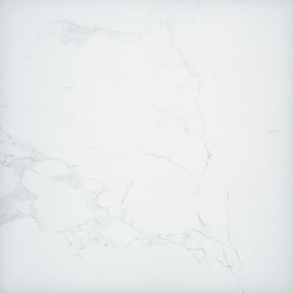 Msi Praia Carrara Sample Porcelain Matte Paver Tile - ZOR-LSC-0205-SAM