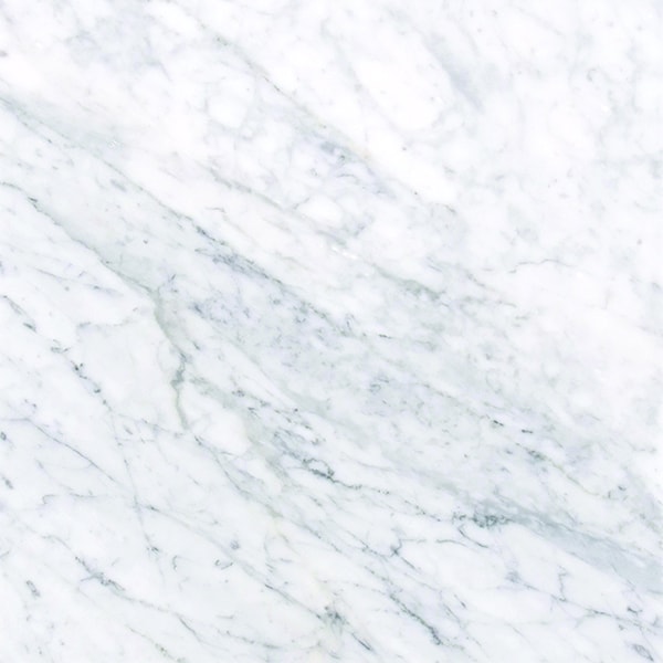 Msi Carrara White 12" X 12" Polished Marble Floor And Wall Tile, 10PK - ZOR-NS-0056