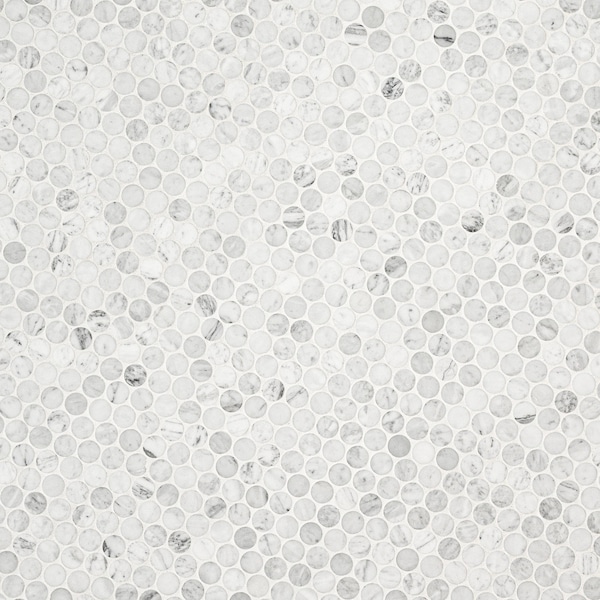 Msi Carrara White Sample Honed Marble Floor And Wall Tile, 1 sq ft - ZOR-MD-0560-SAM