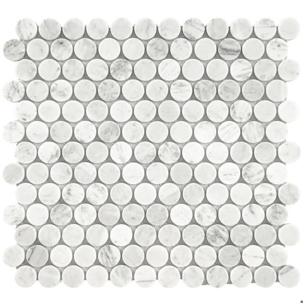Msi Carrara White Sample Honed Marble Floor And Wall Tile, 1 sq ft - ZOR-MD-0560-SAM