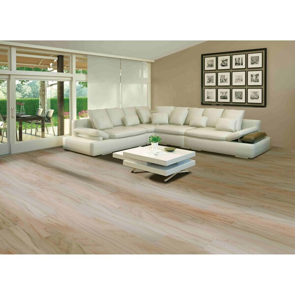 Msi Aspenwood Artic SAMPLE Glazed Porcelain Floor And Wall Tile - ZOR-PT-0164-SAM