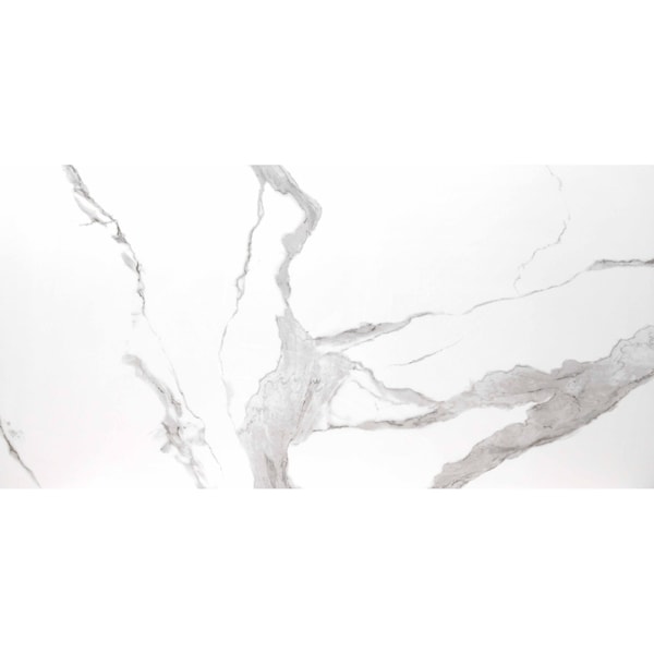 Msi Eden Statuary 12 In. X 24 In. Polished Porcelain Floor And Wall Tile, 8PK - ZOR-PT-0304