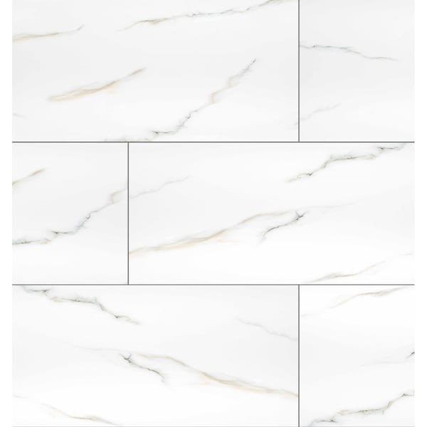 Msi Aria Bianco 24 In. X 48 In. Polished Porcelain Floor And Wall Tile, 2PK - ZOR-PT-0502