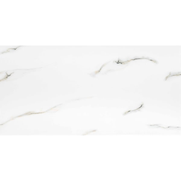 Msi Aria Bianco 24 In. X 48 In. Polished Porcelain Floor And Wall Tile, 2PK - ZOR-PT-0502