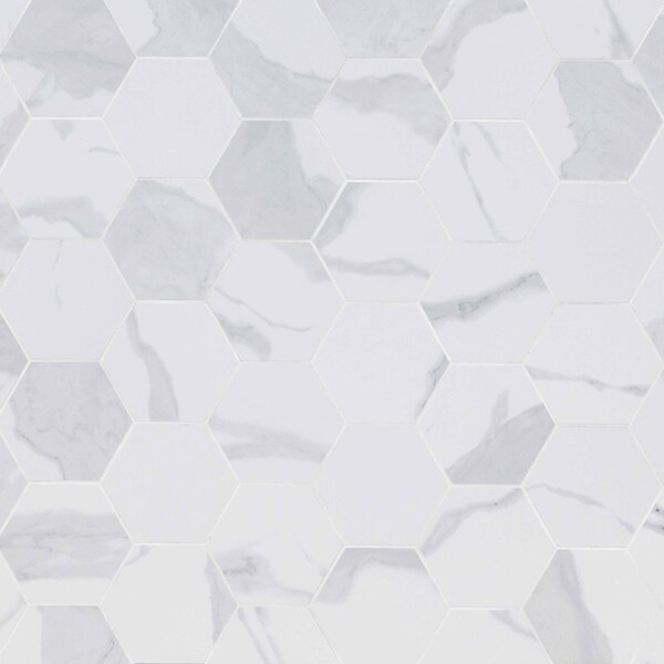 Msi Eden Statuary SAMPLE Hexagon Porcelain Matte Floor And Wall Tile - ZOR-PT-0419-SAM
