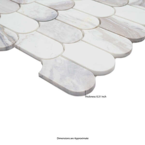 Msi Edessa Scallop Sample Polihsed Marble Mosaic Floor And Wall Tile - ZOR-MD-0618-SAM