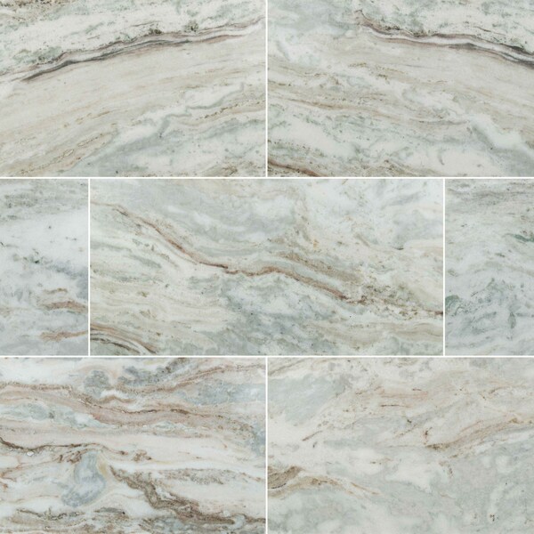 Msi Fantasy Brown 12 In. X 24 In. Polished Floor And Wall Marble Tile, 5PK - ZOR-NS-0095
