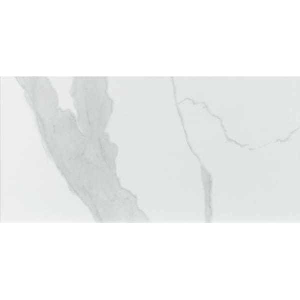 Msi Eden Statuary 12 In. X 24 In. Matte Porcelain Floor And Wall Tile, 8PK - ZOR-PT-0302