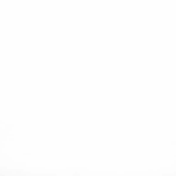 Msi White SAMPLE Glazed Porcelain Floor And Wall Tile - ZOR-PT-0170-SAM