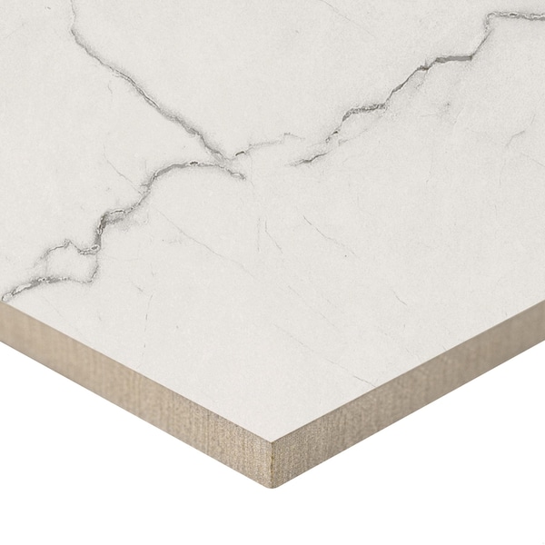 Msi Brighton Grey Sample Matte Porcelain Floor And Wall Tile - ZOR-PT-SAM-0750