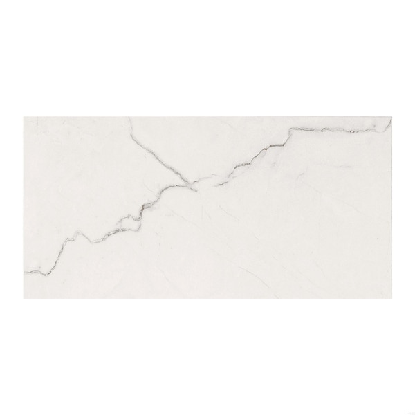 Msi Brighton Grey Sample Matte Porcelain Floor And Wall Tile - ZOR-PT-SAM-0750